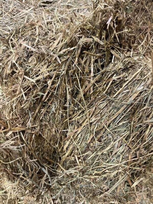 Premium Meadow Hay