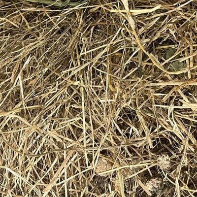 1. Meadow Hay